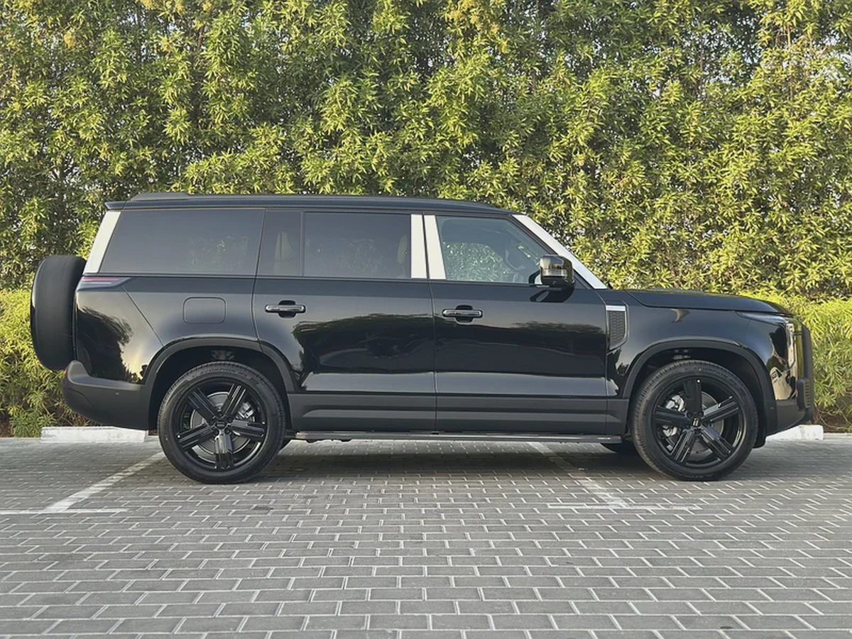 ROX 01 7 Seats / Export /  2025  /  HYBRID / Long-Range-4-4