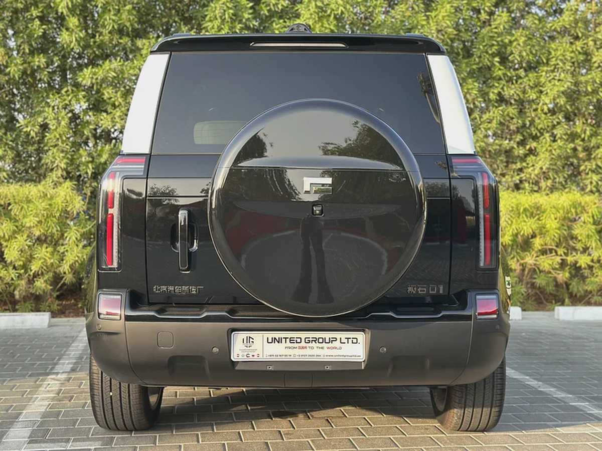 ROX 01 7 Seats / Export /  2025  /  HYBRID / Long-Range-6-6