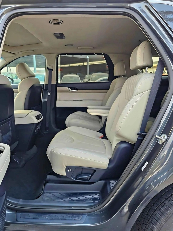 Hyundai Palisade SEL/ ROYAL ELITE EDITION/ SUNROOF/ LEATHER/ ELECTRIC SEATS/ RADAR/ EXPORT ONLY / LOT#105203