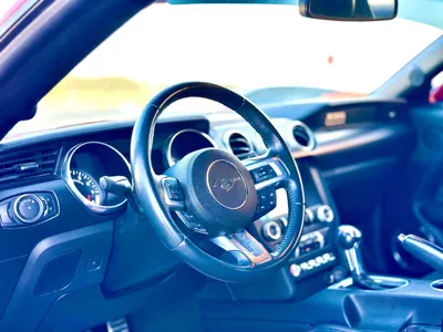 2019 Ford Mustang GT - # 77996-5