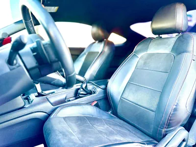 2019 Ford Mustang GT - # 77996-10