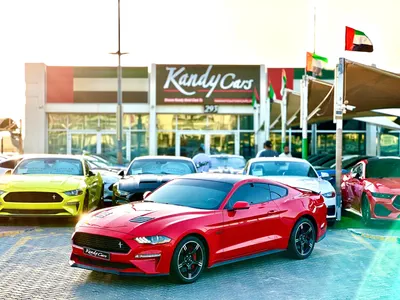 2019 Ford Mustang GT - # 77996-0