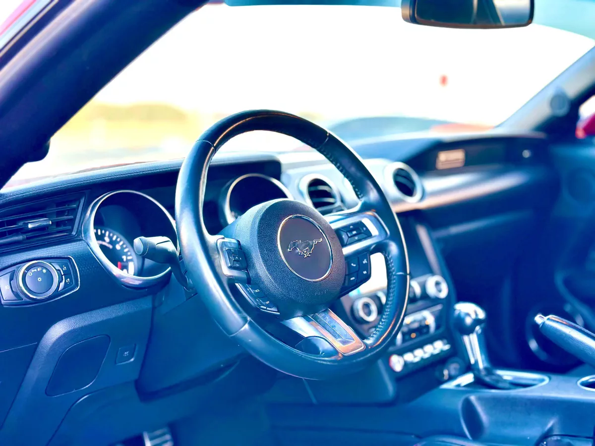 2019 Ford Mustang GT - # 77996-5-5