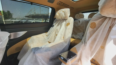 Denza D9 AWD (White)-10