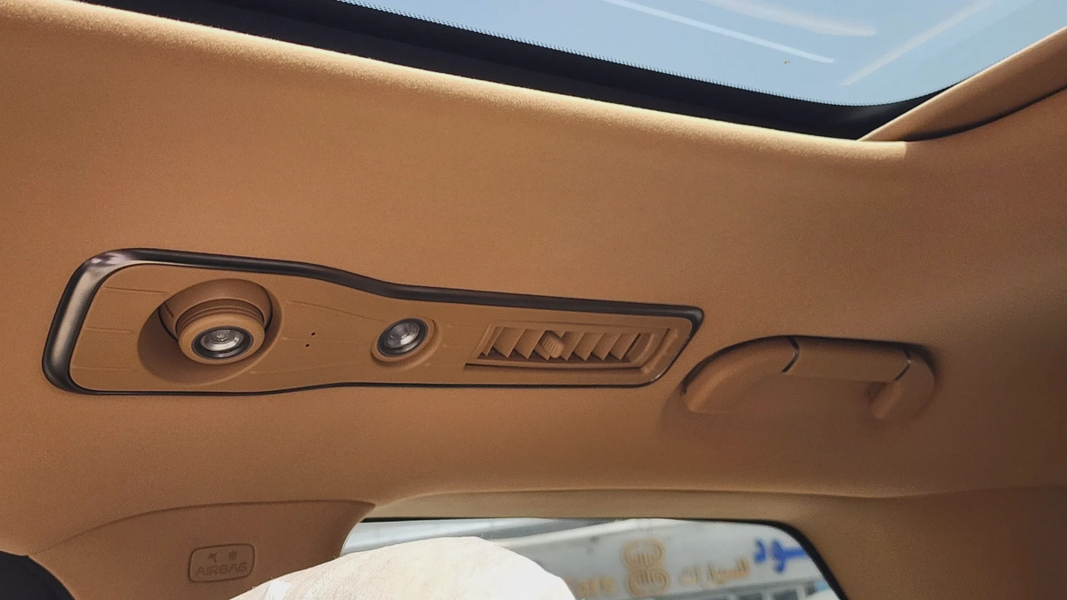 Denza D9 AWD (White)-13-13