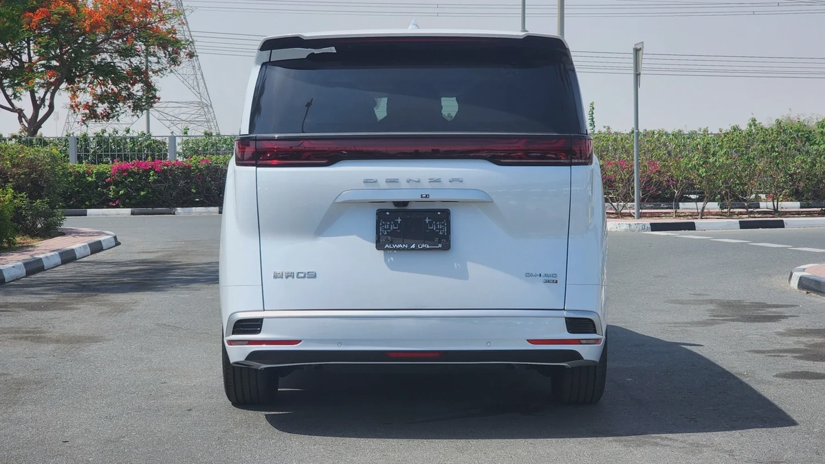 Denza D9 AWD (White)-11-11