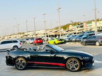 2024 Ford Mustang Ecoboost Convertible - # 19892-5