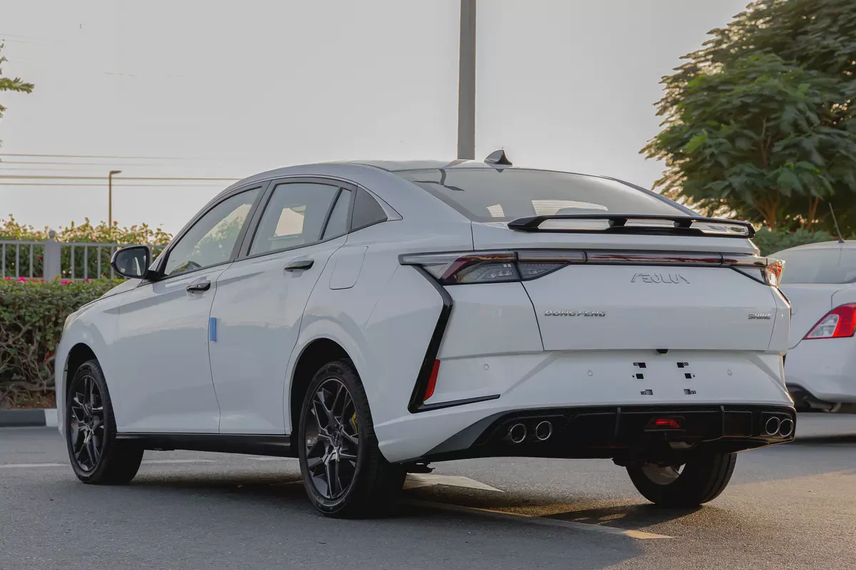 DONGFENG | SHINE | E3 | 2025 (Export)-5-5