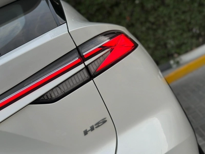 Mg HS 2025 | New-1