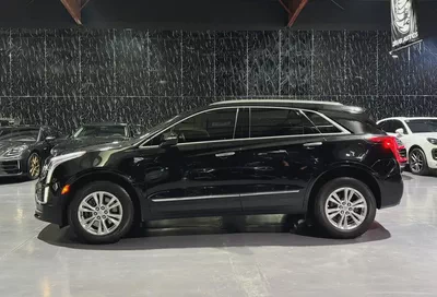 Original Paint | Low Mileage | GCC | Al Ghandi Warranty 2026 |-6