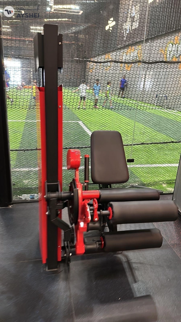 Leg Extension/hamstring Curl