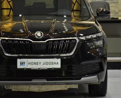 Skoda Kamiq ( 2023 Model ) in Black Color GCC Specs-10