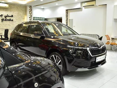 Skoda Kamiq ( 2023 Model ) in Black Color GCC Specs-8