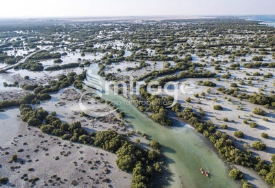 LAND FOR SALE IN AIN AL MAHA, AL JUBAIL ISLAND-6
