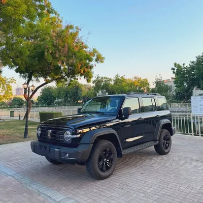 Brand New TANK 300 2026 | Off-Road Ready | Luxury Interior-10