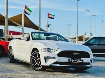 2023 Ford Mustang Ecoboost Convertible-5
