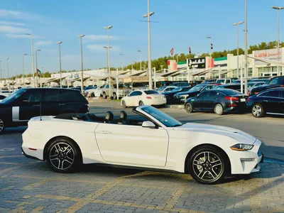 2023 Ford Mustang Ecoboost Convertible-2