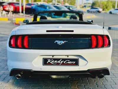 2023 Ford Mustang Ecoboost Convertible-8
