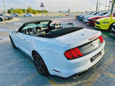 2023 Ford Mustang Ecoboost Convertible-11