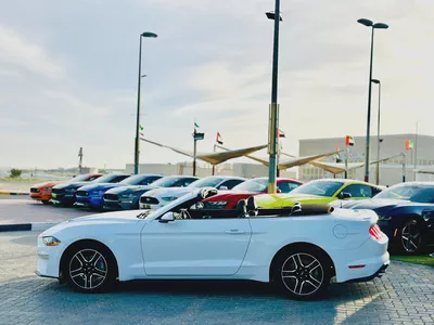 2023 Ford Mustang Ecoboost Convertible-3