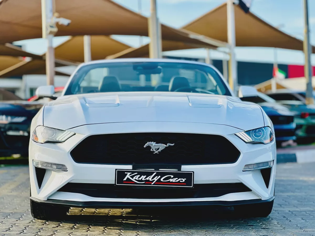 2023 Ford Mustang Ecoboost Convertible-4-4