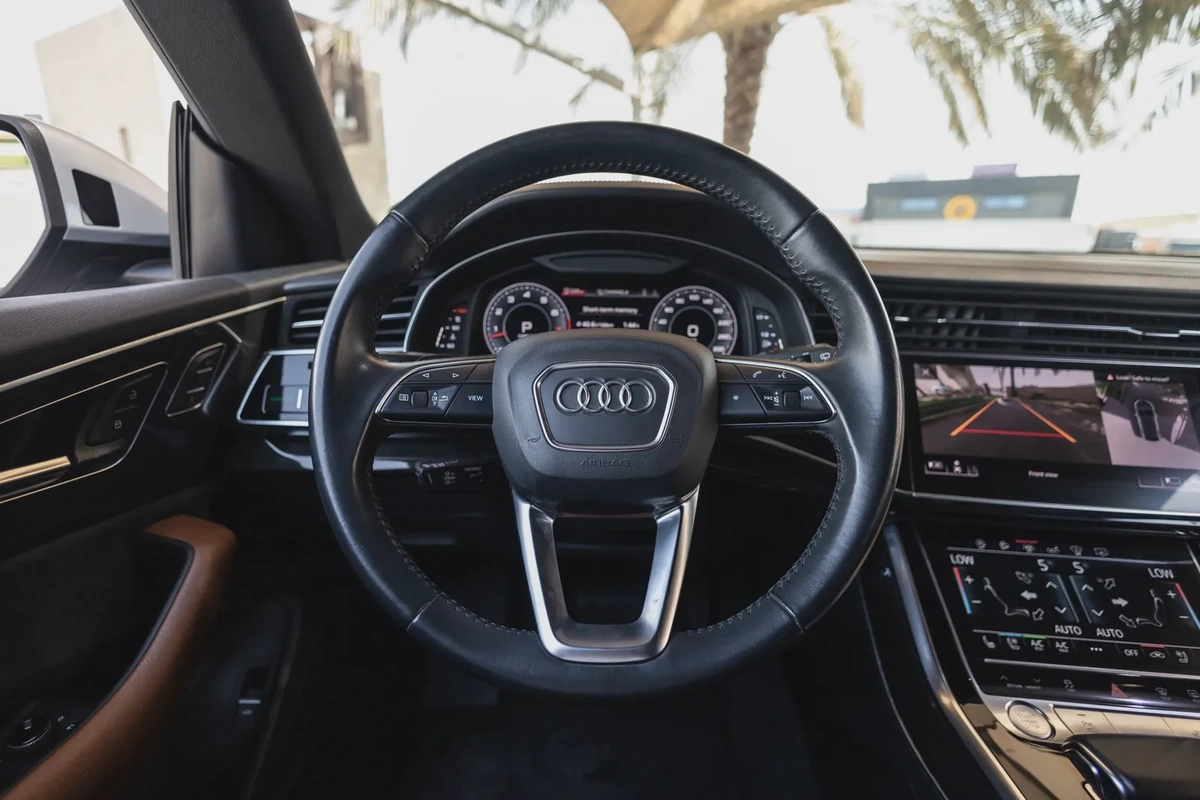 Audi Q8-20-20
