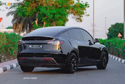 Tesla Model Y performance 2024 GCC Under Warranty From Agency-5