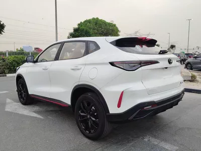 Changan X5 Plus PIONEER-4
