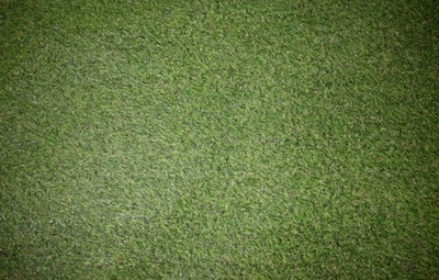 Yatai Decor Artificial plants Green Grass Carpet For Home Garden-1