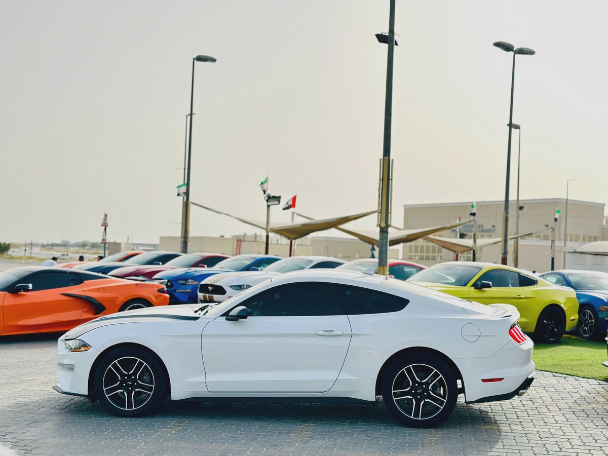 2022 Ford Mustang Ecoboost-6-6