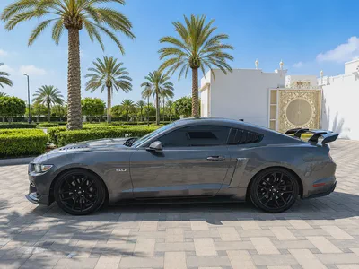 Ford Mustang Gt V8  kit Shelpy-2