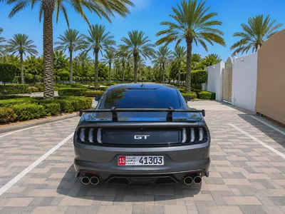 Ford Mustang Gt V8  kit Shelpy-4
