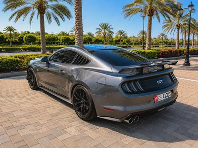 Ford Mustang Gt V8  kit Shelpy-5