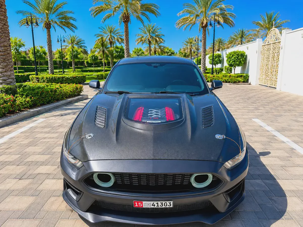 Ford Mustang Gt V8  kit Shelpy-1-1
