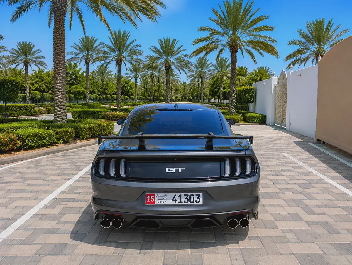 Ford Mustang Gt V8  kit Shelpy-4-4