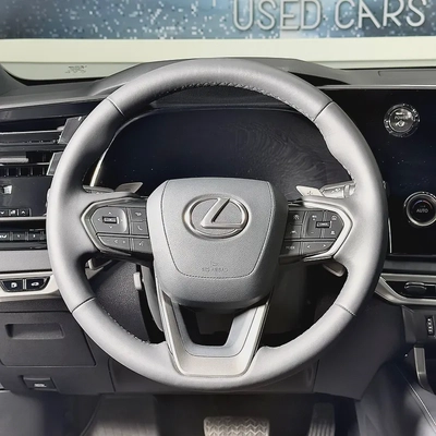 2025 Lexus Rx-350 Premium- hybrid-6