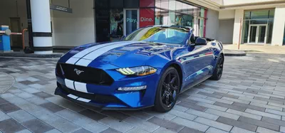 2018-Ford Mustang GT-Convertible-Excellent condition-Bank finance Available-2