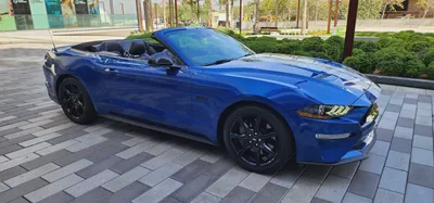 2018-Ford Mustang GT-Convertible-Excellent condition-Bank finance Available-5