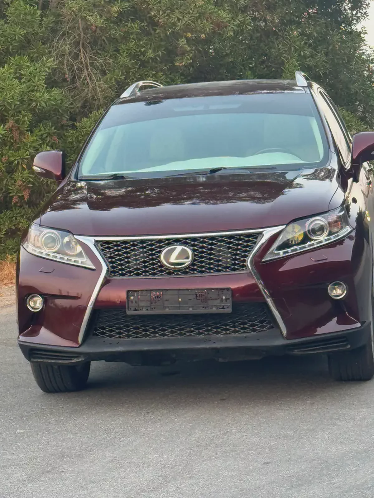 2015 Lexus RX 350 Platinum - American Specs-6-6