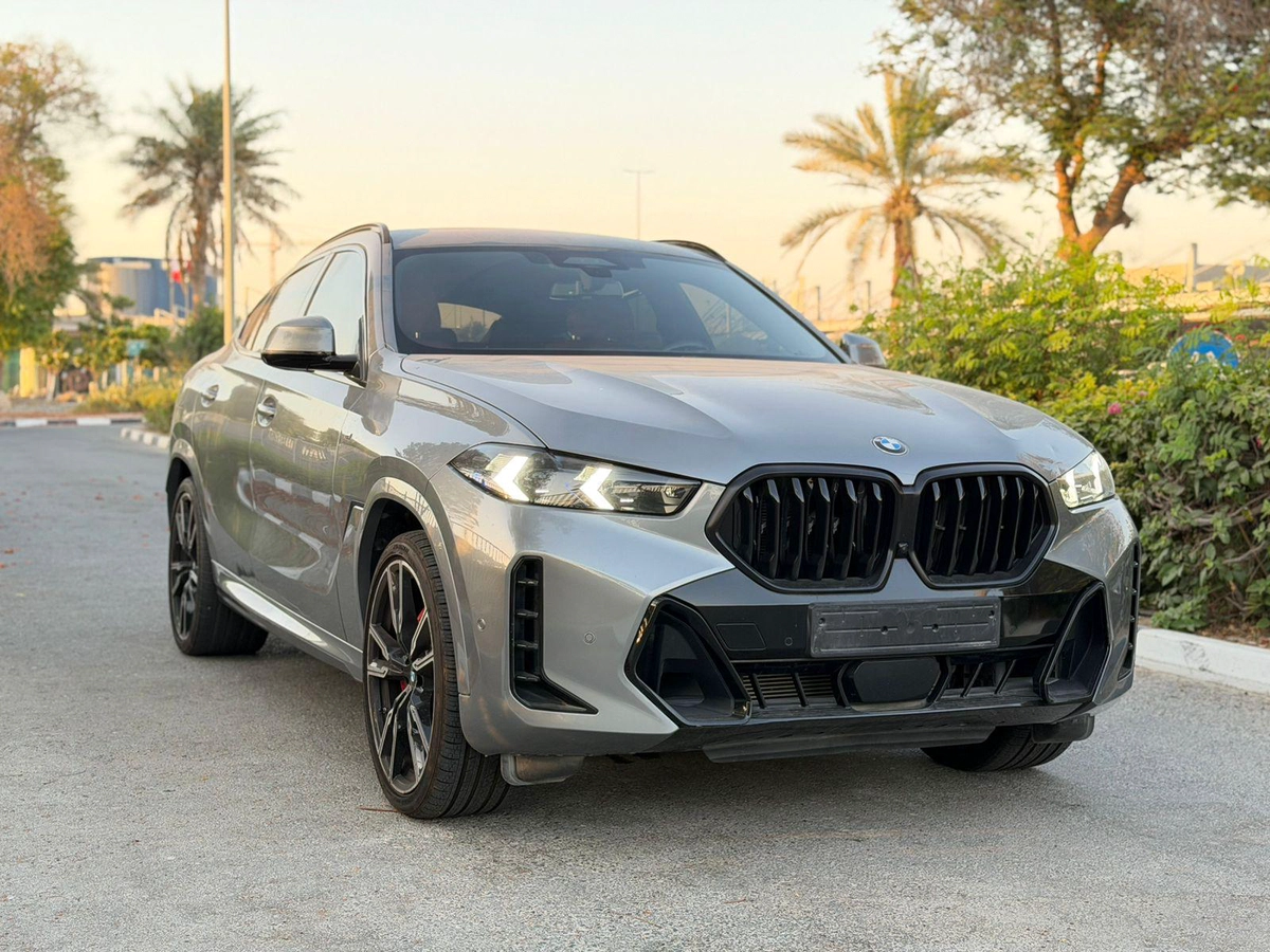 BMW X6-1-1