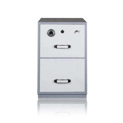 Godrej 2 Drawer FR File Cabinet Safe-2
