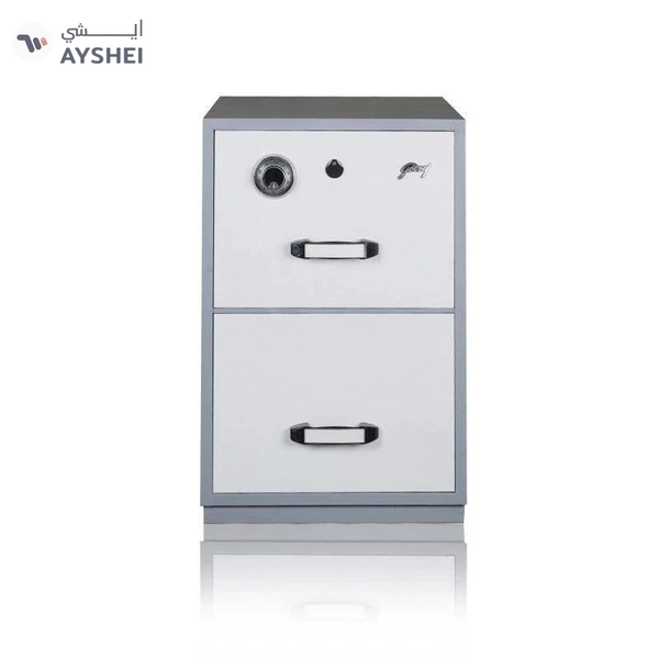 Godrej 2 Drawer FR File Cabinet Safe