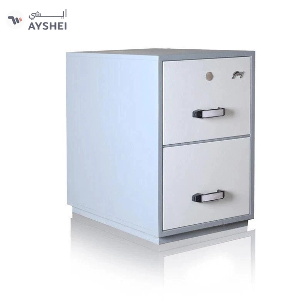 Godrej 2 Drawer FR File Cabinet Safe