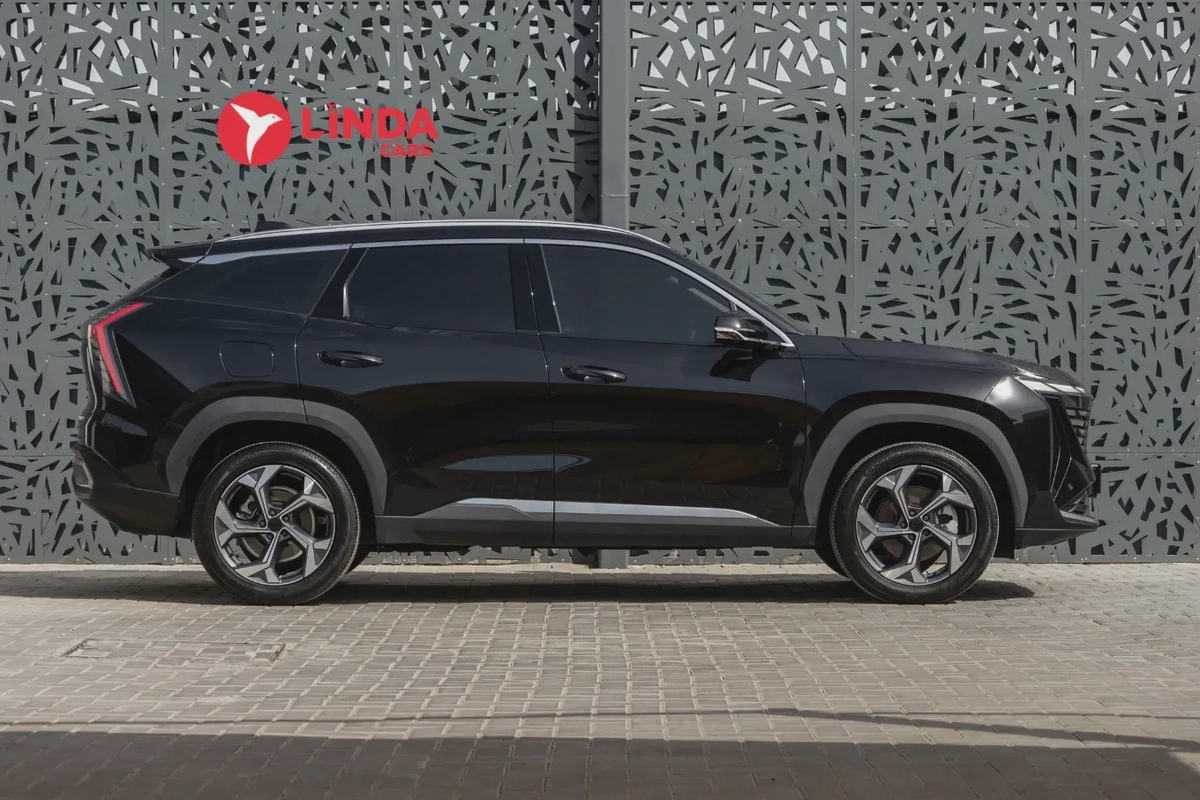 Geely Starray 2025-6-6