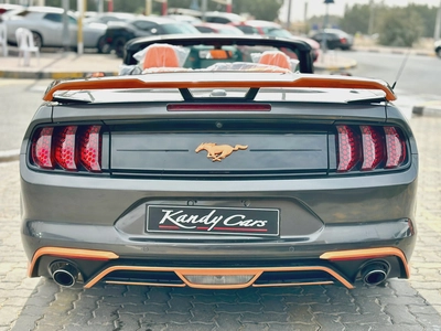 2020 Ford Mustang Ecoboost Convertible-4