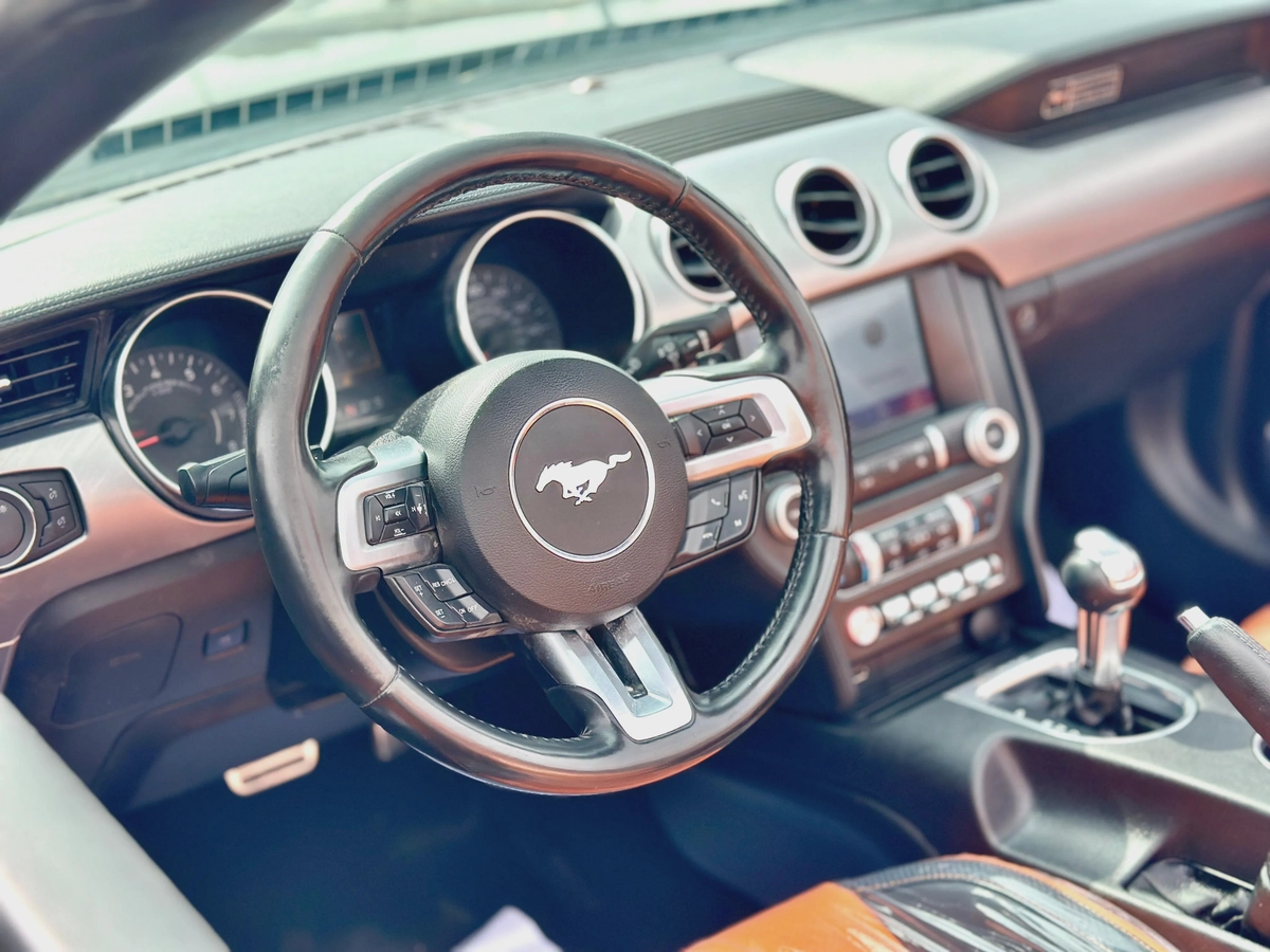 2020 Ford Mustang Ecoboost Convertible-5-5