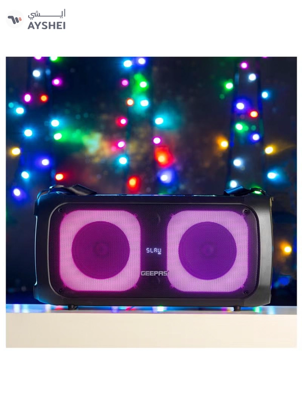 GEEPAS Portable and Rechargeable Professional Speaker