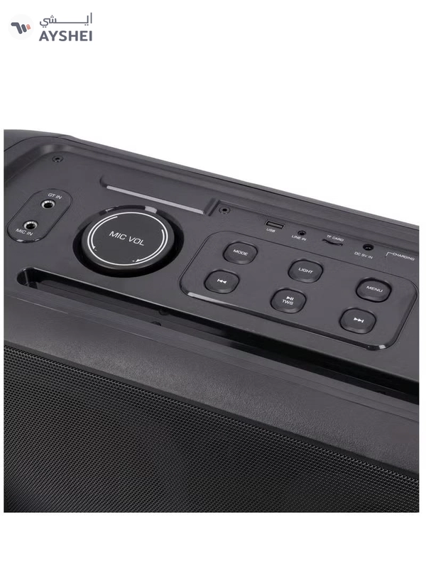 GEEPAS Portable and Rechargeable Professional Speaker