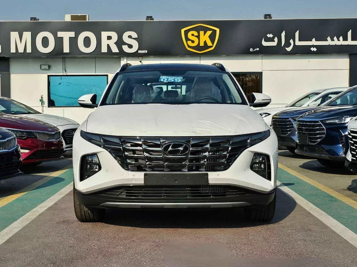 Hyundai Tucson SMART PLUS 1.6L V4 PETROL, PANORAMIC ROOF / FULL OPTION AND MUCH MORE-2-0