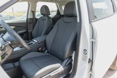 Dong Feng Forthing Friday - Electric - 410km - 2025 (Export)-10